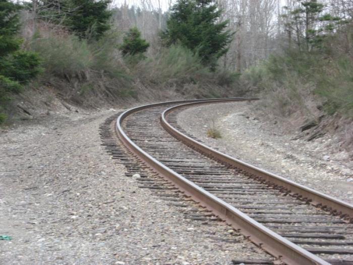 A curved section of track with trees on both sides